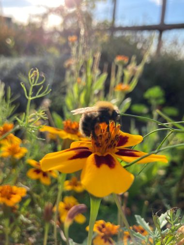 PHOTO-2025-12-17-21-09-13